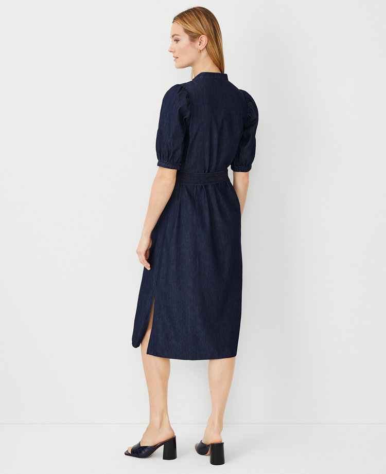 Petite Chiffon Sleeve Belted Dress