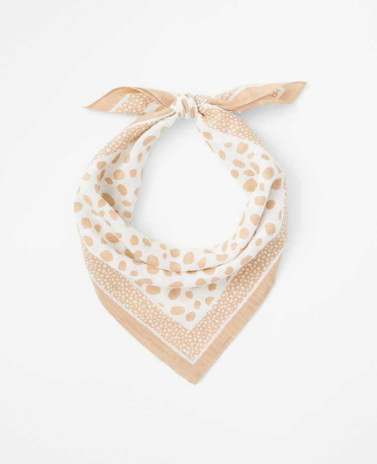 Cat Print Scarf - Black