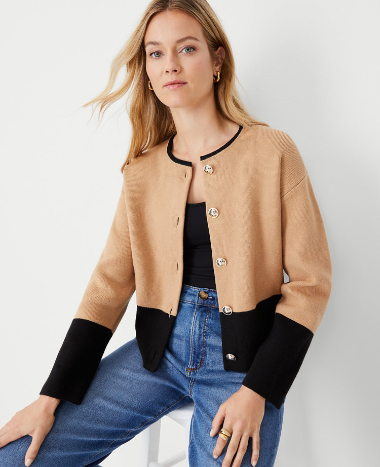 Ann taylor shop colorblock sweater