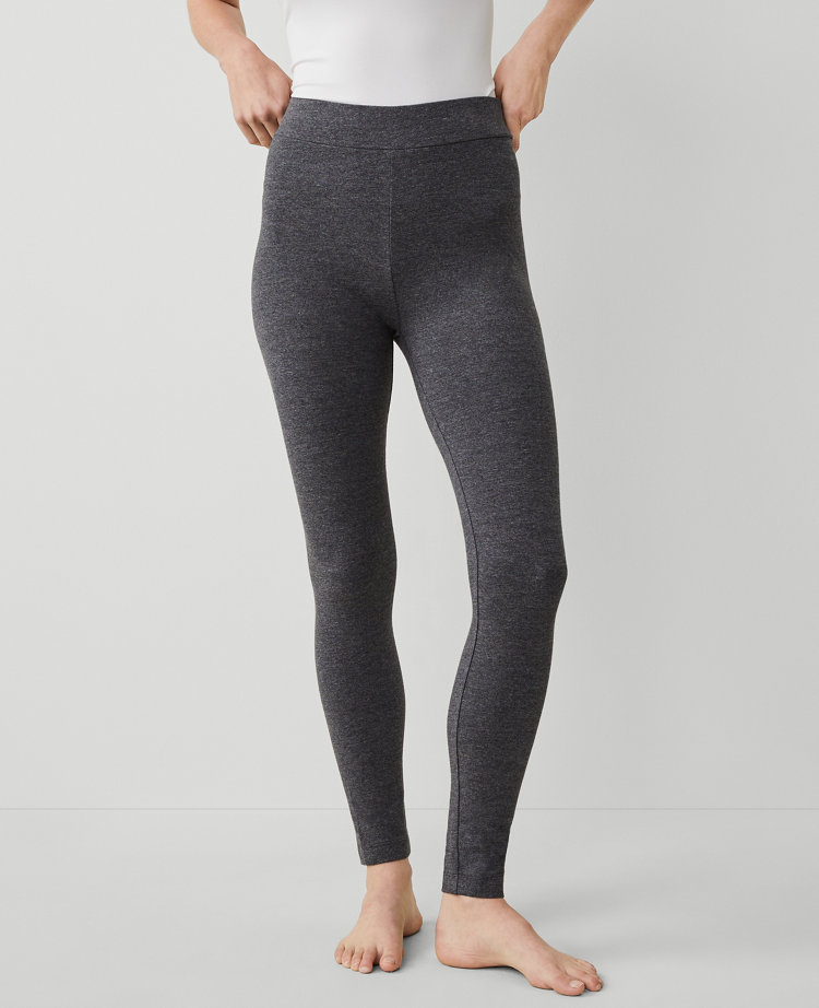 Leggings for Everyday Wear Ann Taylor