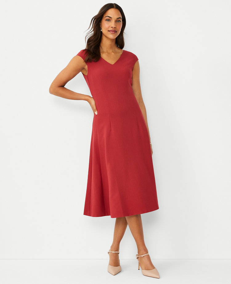 Petite Paneled V Neck Flare Dress