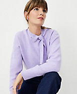 Tie Neck Wedge Sweater carousel Product Image 1