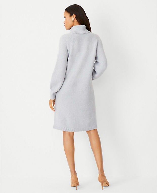 Shimmer Raglan Sleeve Turtleneck Sweater Dress