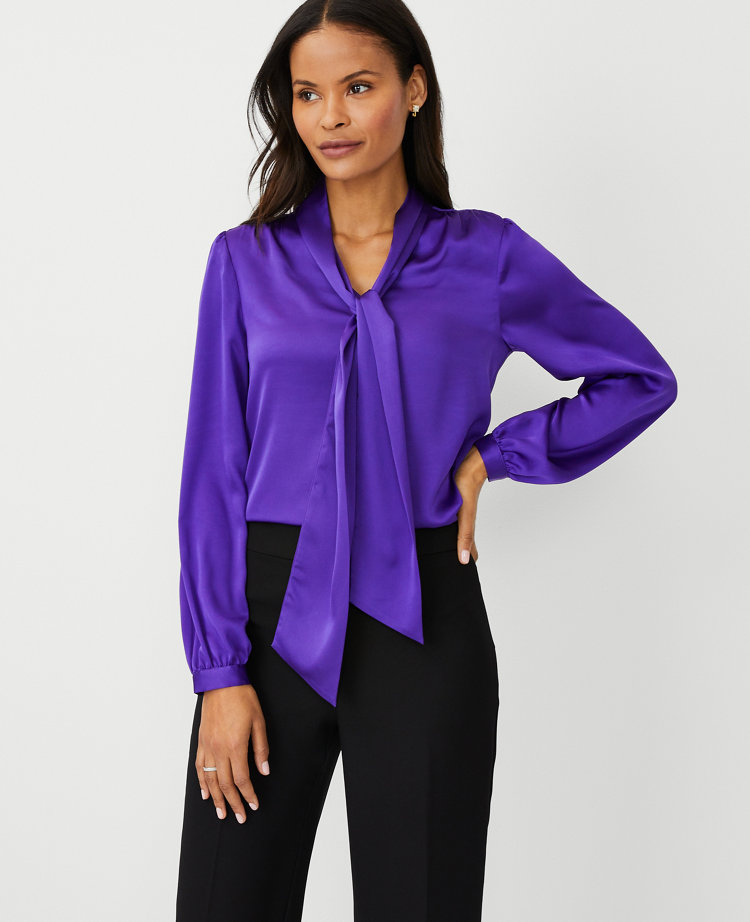 Long sleeve dressy store blouse