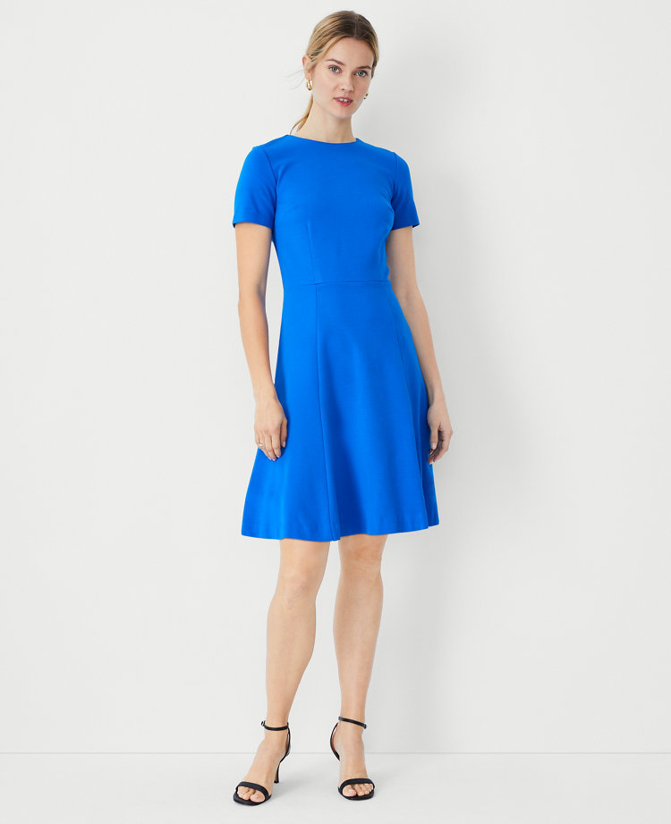 Paneled Flare Dress