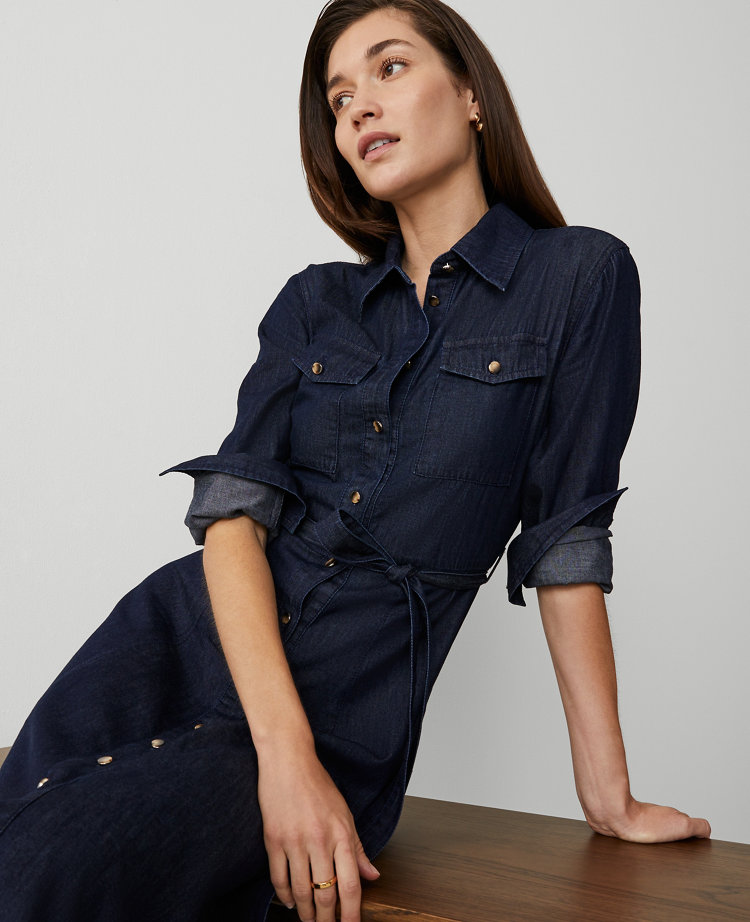 Ann taylor denim dress best sale