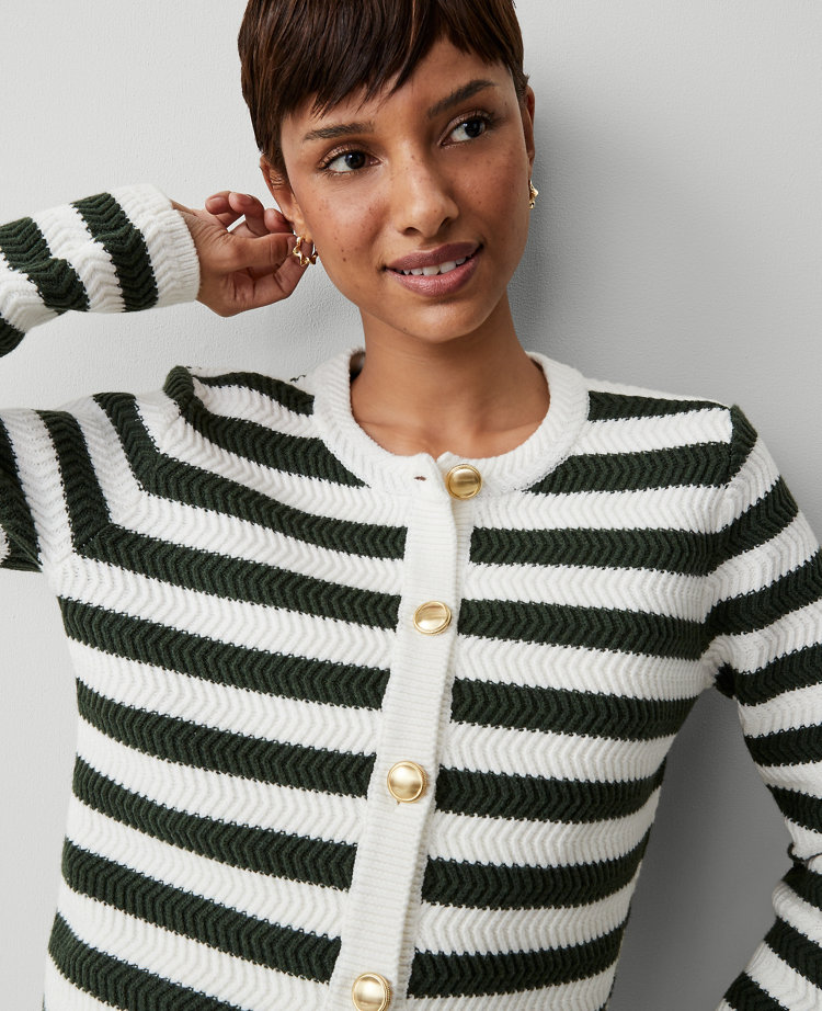 Ann Taylor AT Weekend Striped Stitched Jacket Green/White Stripe Women's