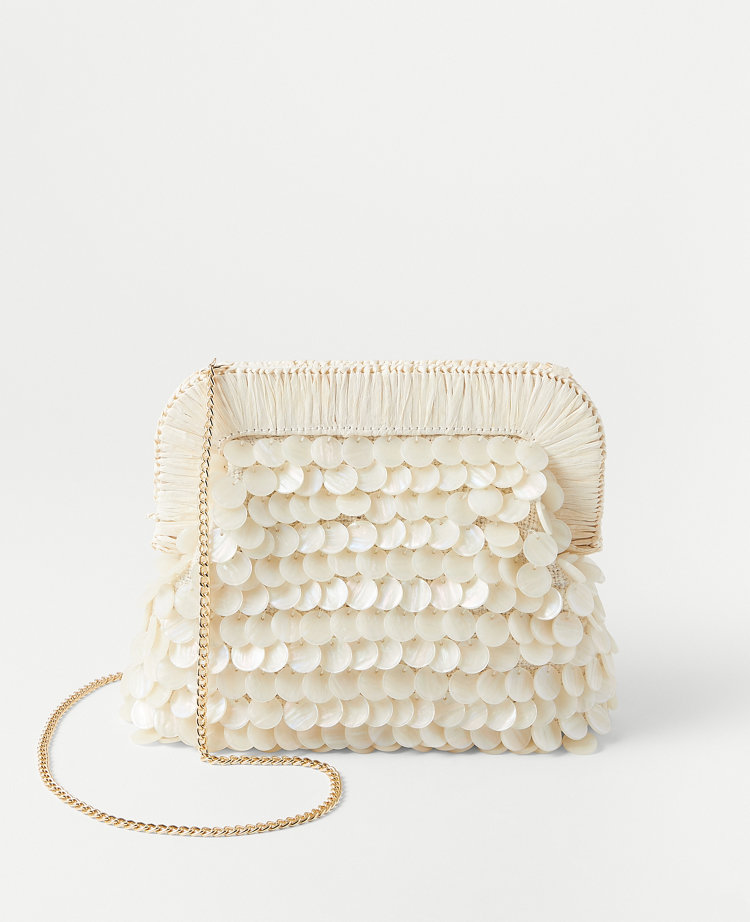 Dumpling clutch bag sale