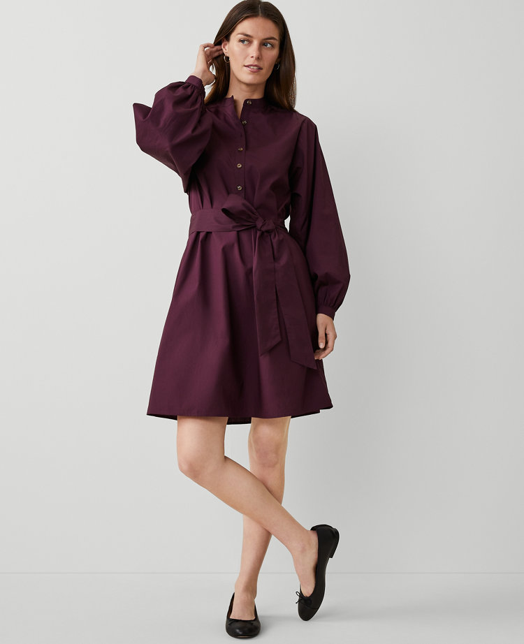 Ann Taylor Petite AT Weekend Cotton Stand Collar Shift Dress Plum Rose Women's