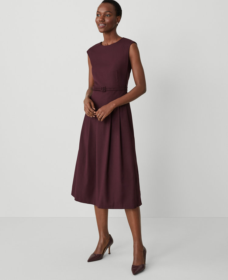 Ann Taylor Belted Pleated Dress