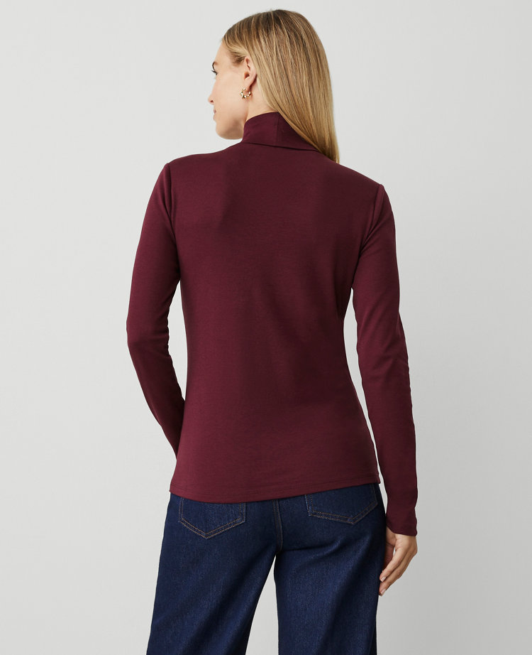 Turtleneck Top carousel Product Image 2