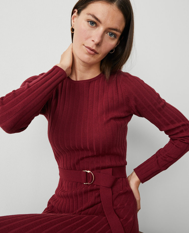 Petite Belted Ribbed Sweater Dress carousel Product Image 3