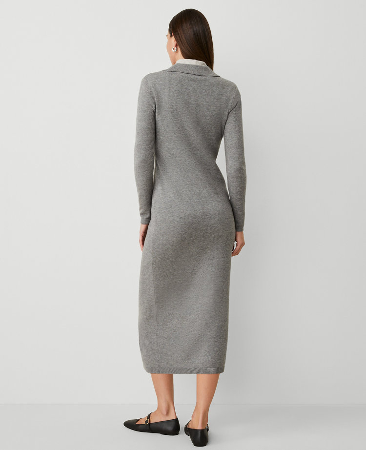 Petite Weekend Collection Collared Sweater Dress