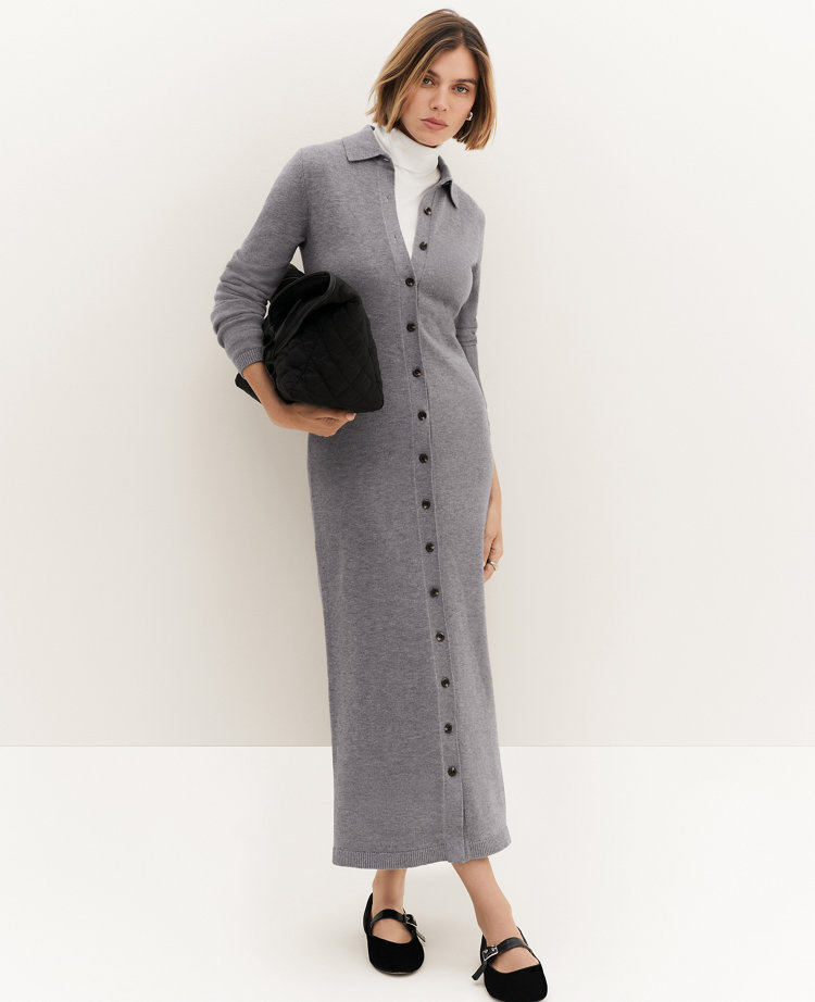 Petite Weekend Collection Collared Sweater Dress