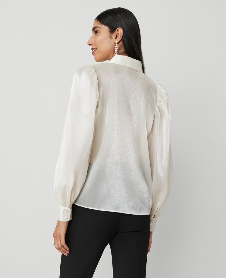 Organza Voluminous Collared Shirt