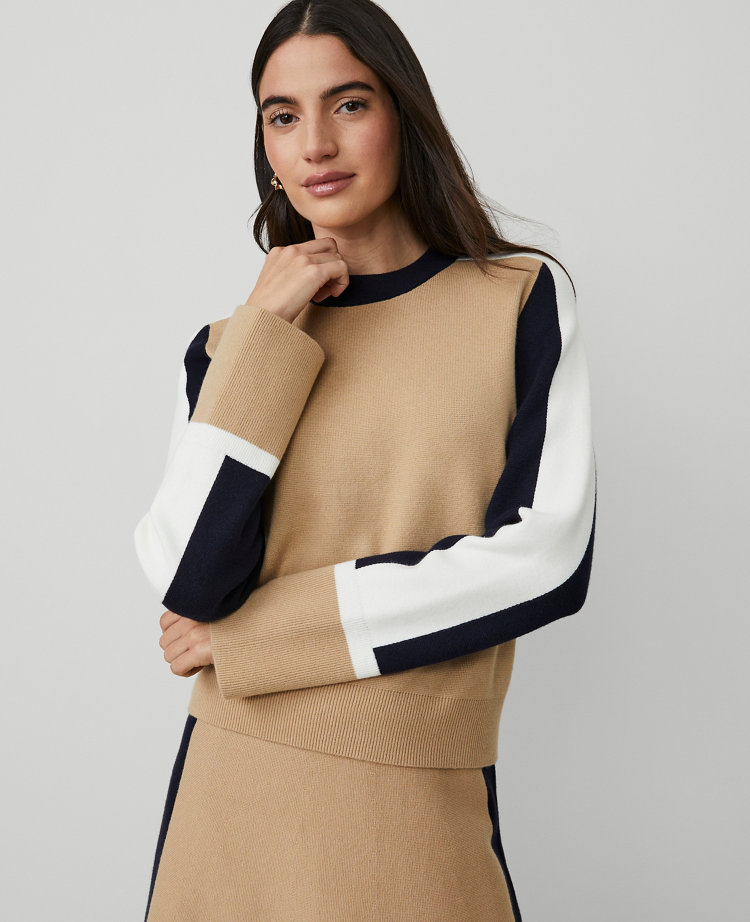 Petite Colorblock Crew Neck Sweater