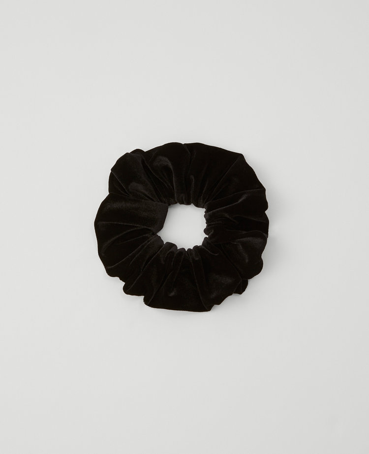 Ann Taylor Velvet Oversized Scrunchie In Black