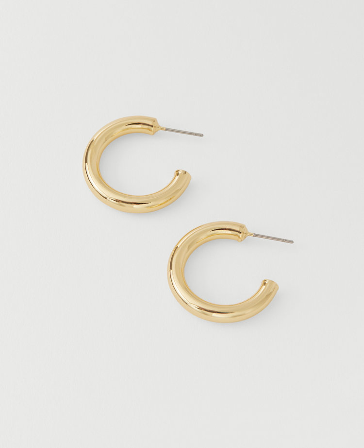 Demi Fine Hoop Earrings