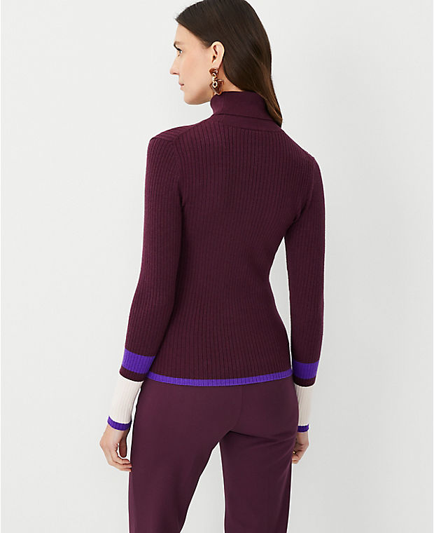 Colorblock Ribbed Turtleneck Sweater