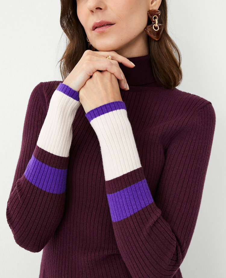 Colorblock Ribbed Turtleneck Sweater