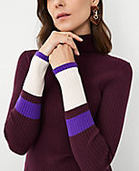 Colorblock Ribbed Turtleneck Sweater carousel Product Image 3