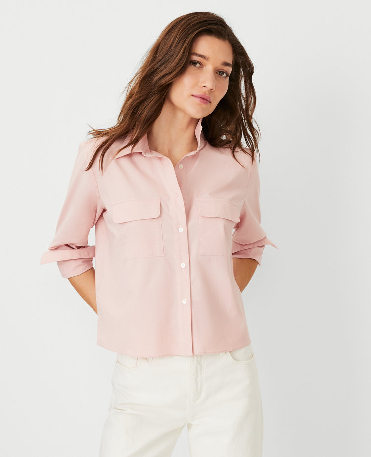 Ann Taylor Branded Pastel Pink Short Sleeves Chiffon Blouse/Top, Women's  Fashion, Tops, Blouses on Carousell