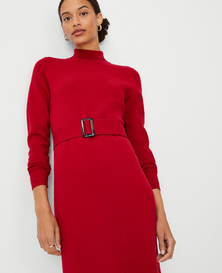 Belted Turtleneck Sweater Dress