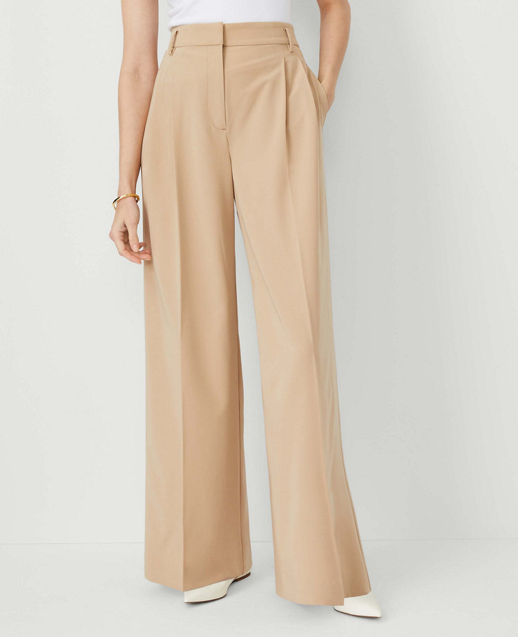 The Pleated Wide-Leg Pant