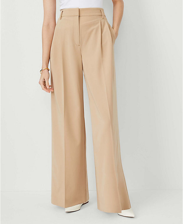 The Pleated High Rise Wide Leg Pant