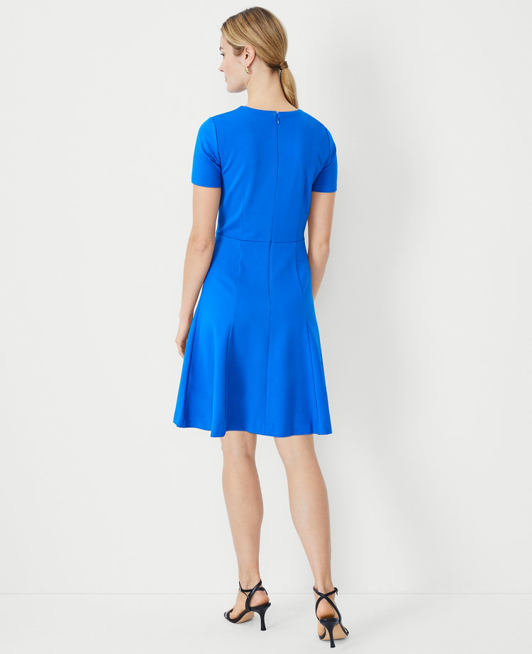 Petite Paneled Flare Dress