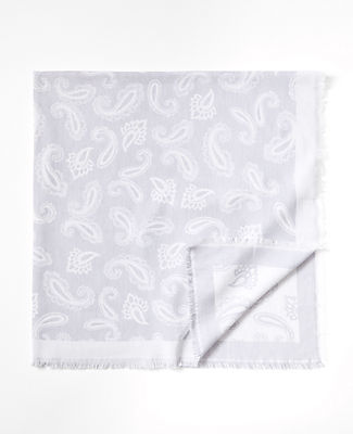 Ann Taylor Paisley Blanket Scarf In Winter White