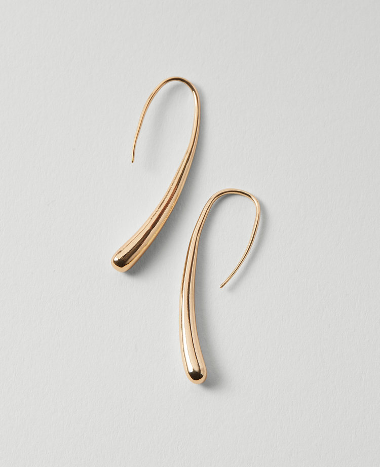 Ann Taylor Delicate Hook Earrings