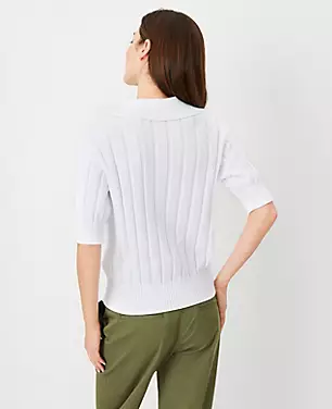Petite AT Weekend Ribbed Collared Sweater carousel Product Image 2