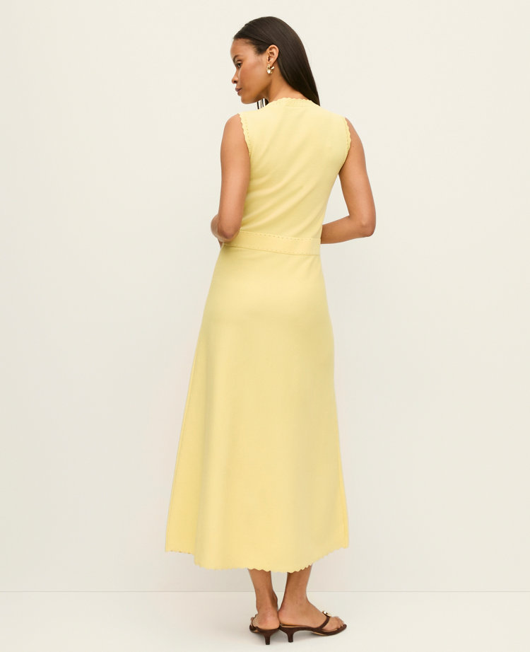 Petite Scalloped Midi Sweater Dress