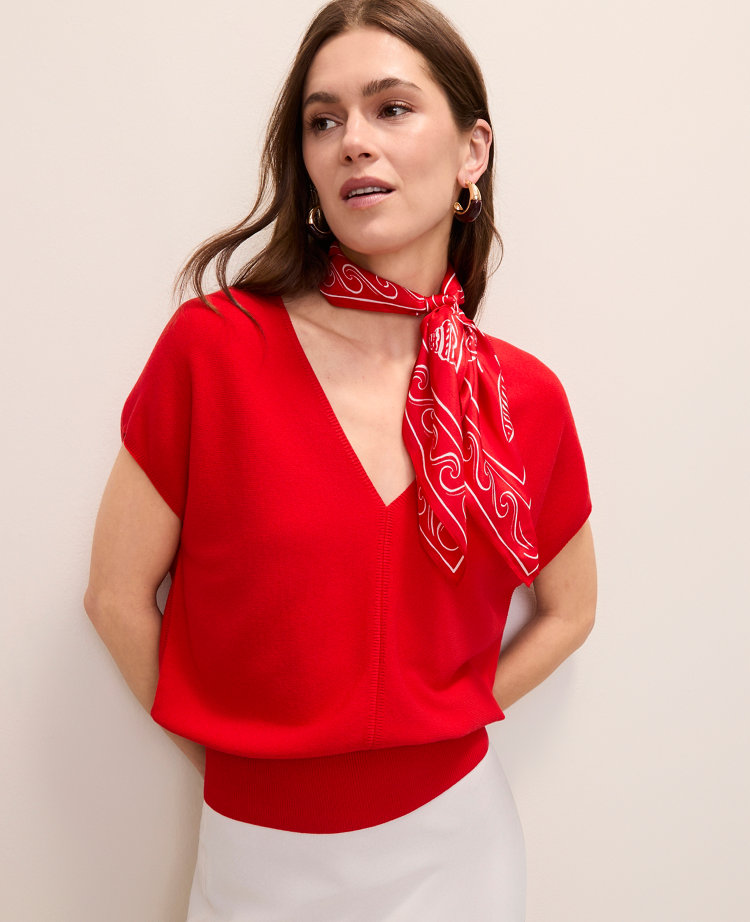 V-Neck Sweater carousel Product Image 1