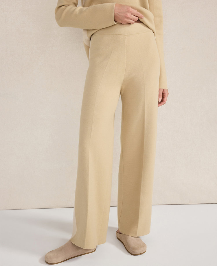 Haven Well Within Tuxedo Stripe Pants