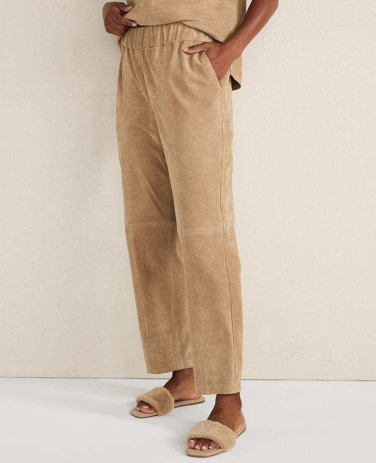 Haven Well Within Suede Pants