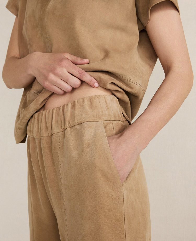 Haven Well Within Suede Pants