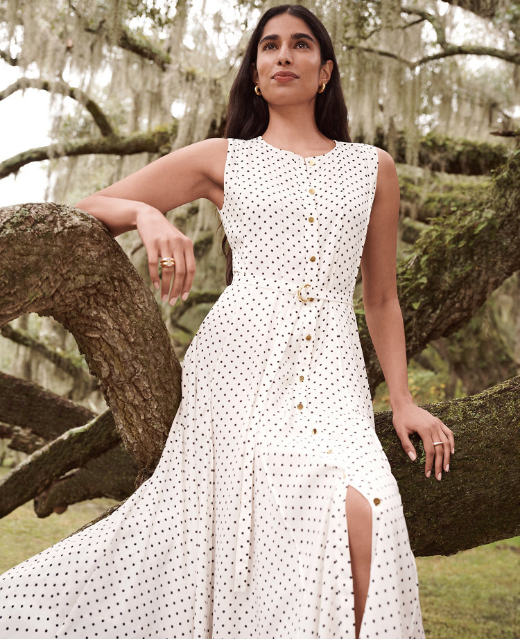 Petite Micro Dot Flare Dress