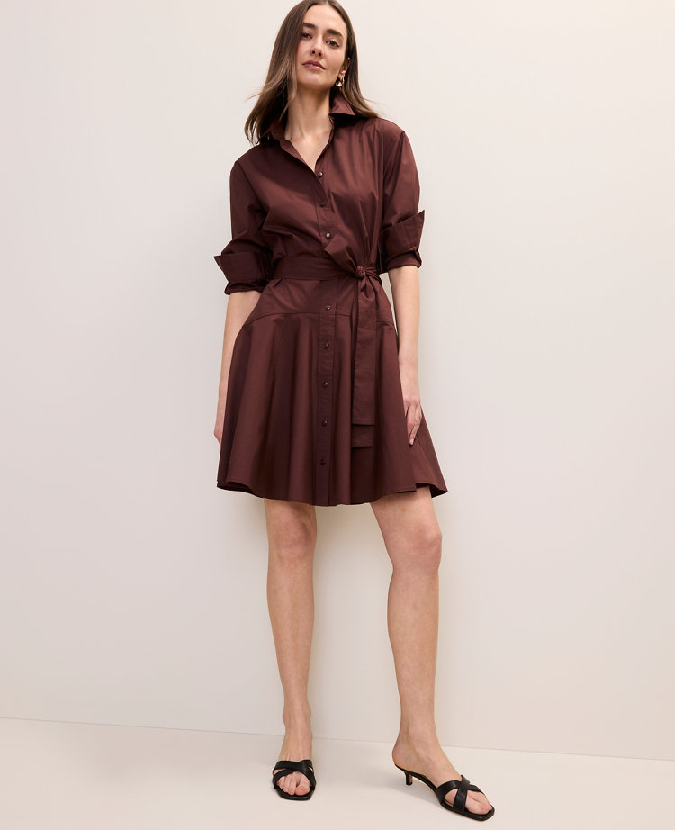 Petite Belted Collared Shirtdress