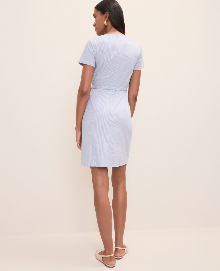 Petite Striped Crew Neck Flare Dress