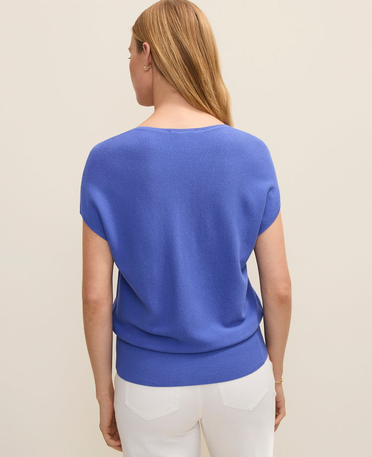 Petite V-Neck Sweater carousel Product Image 2