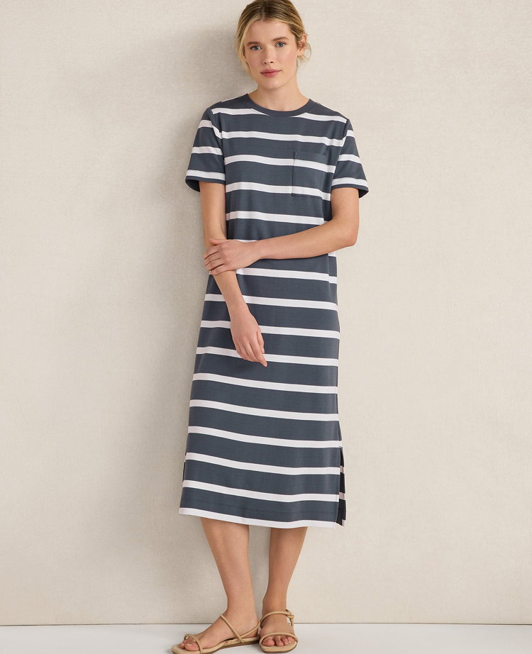 Ann Taylor Haven Well Within Organic Cotton Interlock Striped Short Sleeve Dress In Blue
