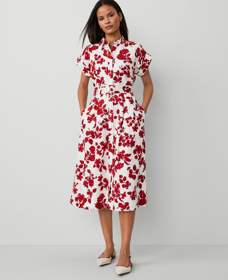 Petite Tropical Collared Midi Flare Dress