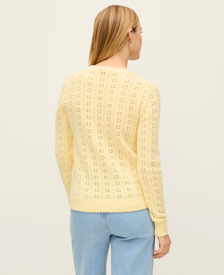 Ann Taylor Petite Cozy Pointelle Sweater Women's