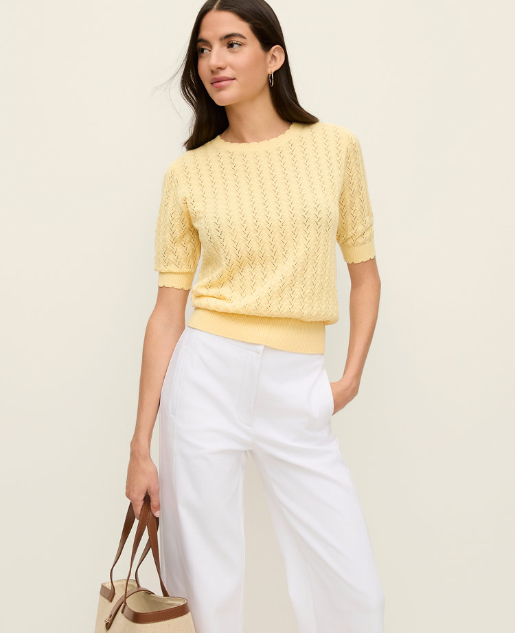 Petite Pointelle Sweater Tee