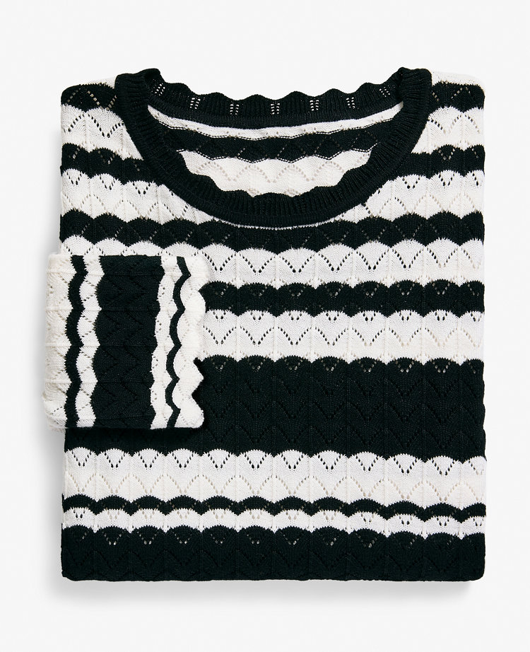 Petite Striped Pointelle Sweater Tee