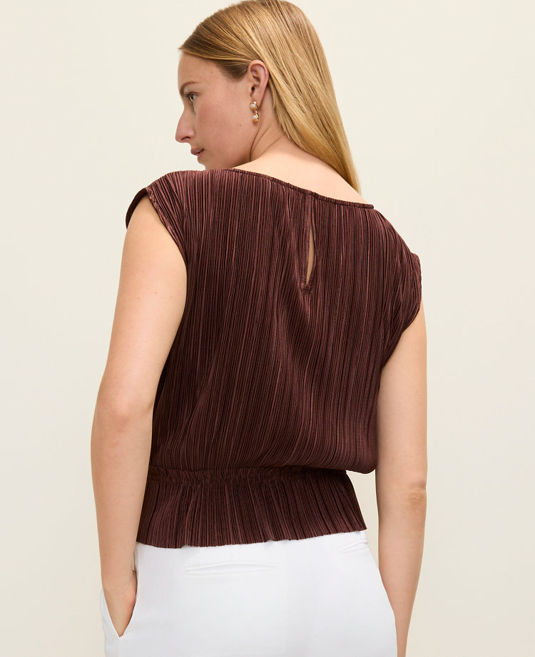 Petite Pleated Ruffle Hem Top