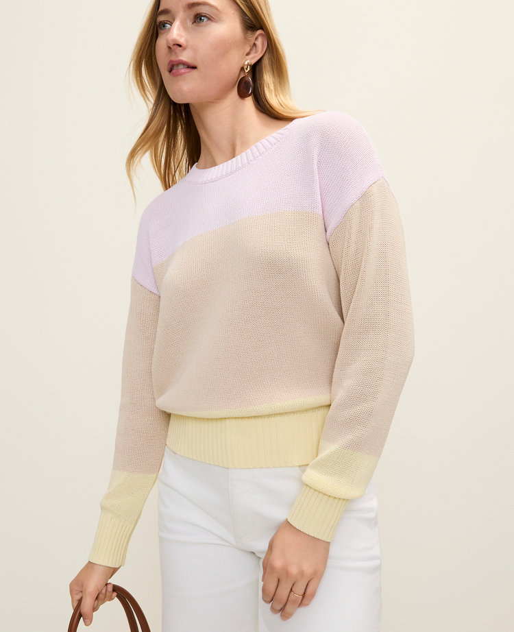 Petite Colorblock Crew Neck Sweater
