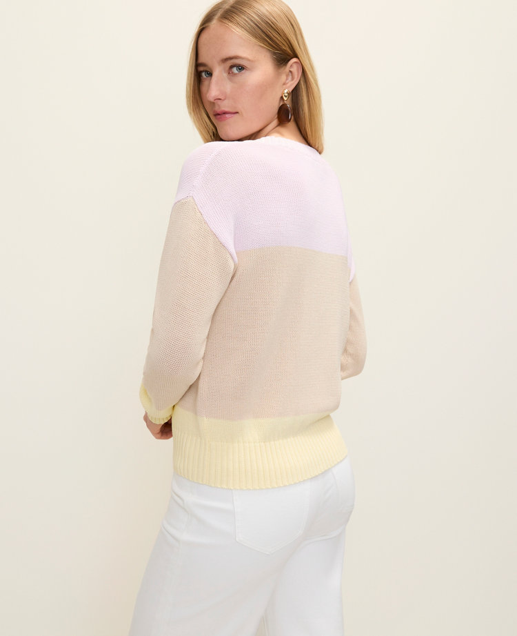 Petite Colorblock Crew Neck Sweater